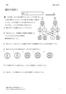idenhousoku1のサムネイル