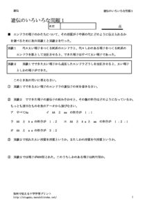 idenmondai1のサムネイル