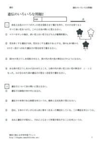 idenmondai2のサムネイル