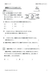saibounokokyutohataraki1