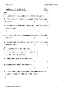 saibounokokyutohataraki2