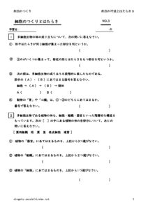 saibounokokyutohataraki3